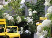 chaises jaunes pour pimper jardin, terrasse,...