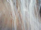 Exposition l’art prend l’eau Nayart Minoterie