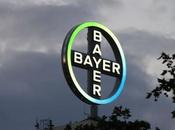 crise, Monsanto pourrait fusionner avec Bayer