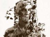 Exposition Mélancolie oiseaux Marie Frécon Muséum d’histoire naturelle Gaillac