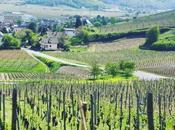 #Alsace entre villages pittoresques parc d’attractions
