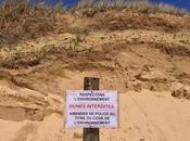 dunes sont toboggans