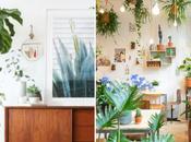 Tendance Déco Urban Jungle