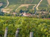 Champagne Drappier bouteille mesure