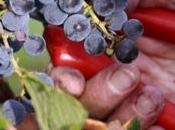 Pourquoi l'avenir passe Thierry Desseauve