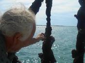 d’alarme: huîtres moules disparaissent