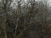 Exposition Guillaume Janot Pascal Poulain Galerie bleu Ciel Lyon