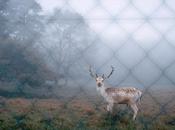 CENTRALE.BOX nature Maëlle Collin