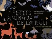 petits animaux nuit