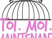 avis 3ème tome maintenant jamais d'Emily Blaine