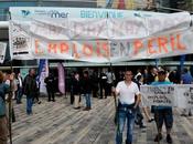 Mortalités moules l’État accorde nouvelles aides