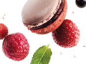 Gourmandise/Food macaron mois Pierre Marcolini