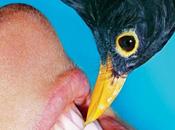 rencontres d’Arles 2016