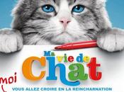 Cinéma chat, infos
