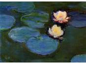 Lambert Schlechter suis fauché, brin d’herbe…