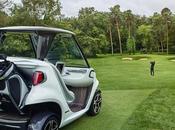 Rouler merco green golf