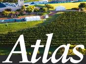 Atlas vigne nouveau défi mondialisation