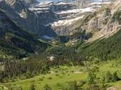 Barbu parti chercher soleil ailleurs