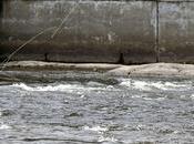 Pêcheurs saumon rivière Matane...