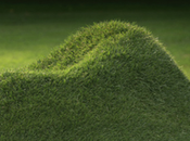 GREEN Terra Grass armchair Nucleo