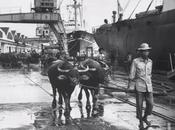 Life Magazine Photos Thailand 1950's