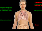 bienfaits chocolat wikipedia