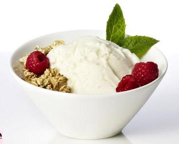 Frozen Yogurt ou Yaourt Glacé Express