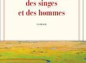 chauves-souris, singes hommes