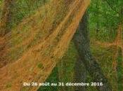 Exposition Transition temps libres Masami Casa d’Oro d’Azil (09)