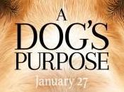 [Trailer] Dog’s Purpose chien