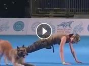 Vidéo. chien militaire surentraîné vous laissez bouche
