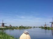 Kinderdijk