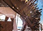 EVASION Tree House Mexique