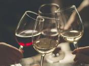 Comment choisir vins écolo quand qualité rime avec écologie