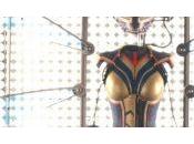 Evangeline Lilly annonce participation Wasp dans Avengers