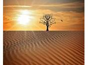 conseils pour promouvoir l’énergie solaire Afrique