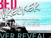 Cover reveal découvrez couverture Wrecker Karr