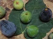 [Interview] Conseils d’un Chef* pour savourer Figue