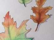 Feuilles d'automne