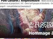 Evènement Lancement 11ème Festival Arts Sciences visionnaires: hommage psychanalyste Carl Gustav Jung octobre novembre 2016