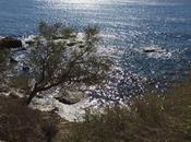 [Carry-le-Rouet] Balade sentier lézard