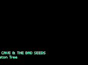 Nick Cave Seeds Skeleton Tree (2016)