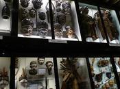 Pitt Rivers Museum valse étiquettes