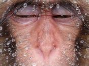 concours Nature Photographer Year National Geographic