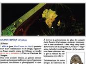 L'actualité DDM-MediaTribal Octobre 2016