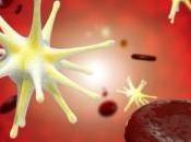 TABAGISME INFLAMMATION Lorsque nicotine fait exploser neutrophiles Journal Leukocyte Biology