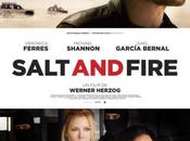 Cinéma Salt Fire, infos