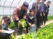 contrôle produits agro-alimentaires Corée