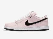 Nike Dunk Elite Pink
