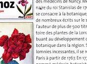 Pierre-Joseph Buc'hoz